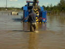 Flota
